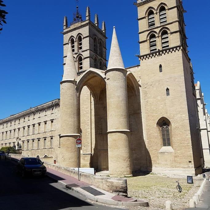 מונפלייה Appartement Cosy Et Calme - Centre Historique מראה חיצוני תמונה